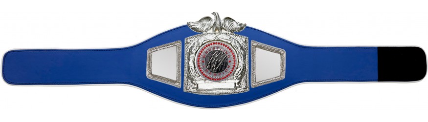 PROEAGLE WRESTLING CHAMPIONSHIP BELT - PROEAGLE/S/WRESTGEMS - 6+ COLOURS